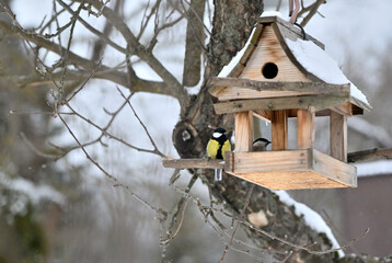 Great tit sitting on a branch a wooden birdhouse © Pavol Klimek