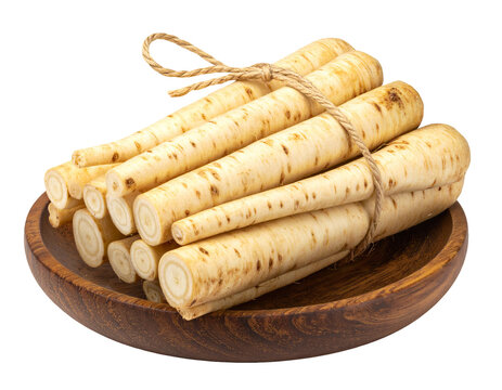 Bundle of fresh burdock roots tied with twine on wooden plate for healthy Asian cooking on isolated background
