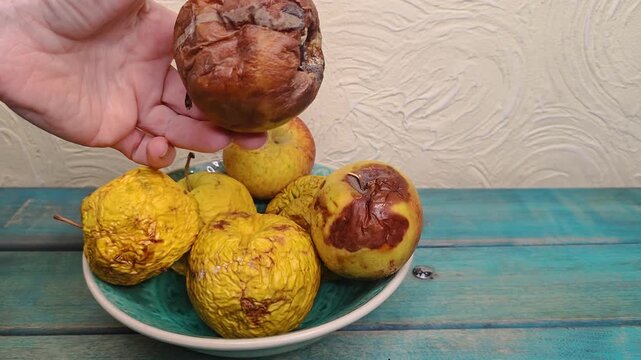 Woman turns a rotten apple in her hand before placing it back with spoiled fruit, food waste concept, overconsumption awareness scene.