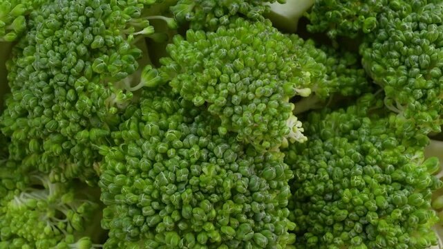 Closeup of fresh broccoli rotating. Green vegetable.