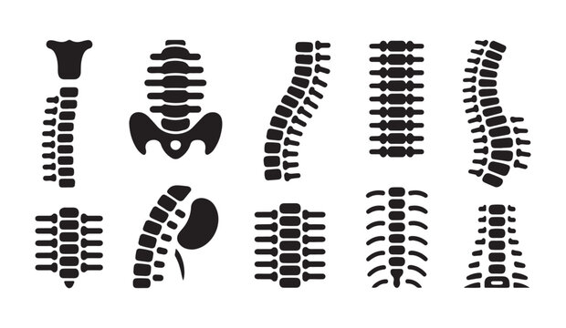 Spine bone medical black icon set vector illustration for orthopedic and chiropractic care.