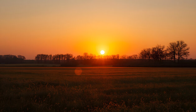sunset in the field