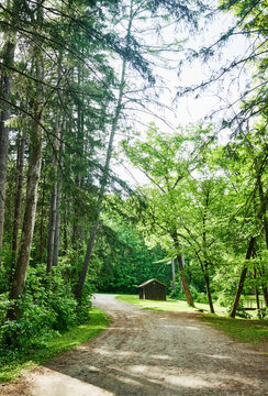 picnic and trail area within Saratoga Spa State Park, Saratoga Springs, New York