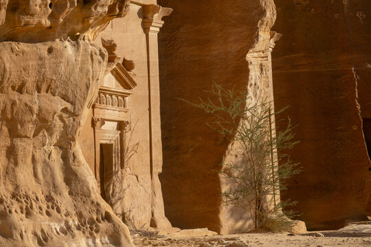 Rosette carvings on a Nabataean tomb pediment at Hegra, Al Madinah Province, Alula, Saudi Arabia