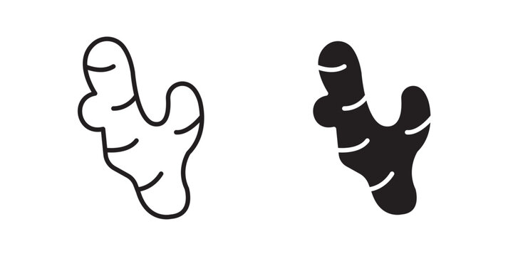 Ginger icon flat outline in black