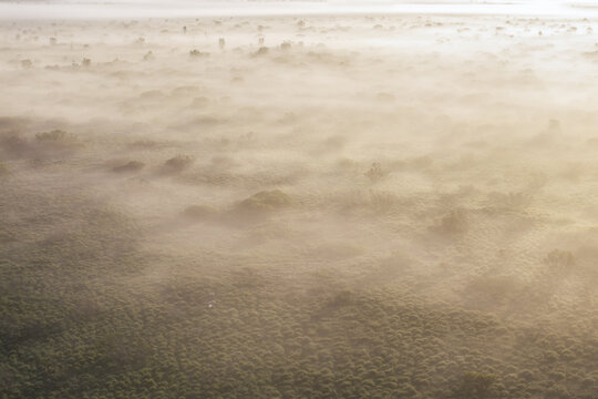 Aerial view of a misty landscape with low-lying mossy vegetation covered in thick morning fog in Fludir, Hrunamannahreppur, Iceland.
