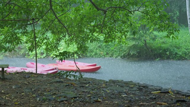 Several empty pink kayaks moored on a jungle river during a heavy downpour, representing a postponed recreational activity amid the tranquil force of nature.