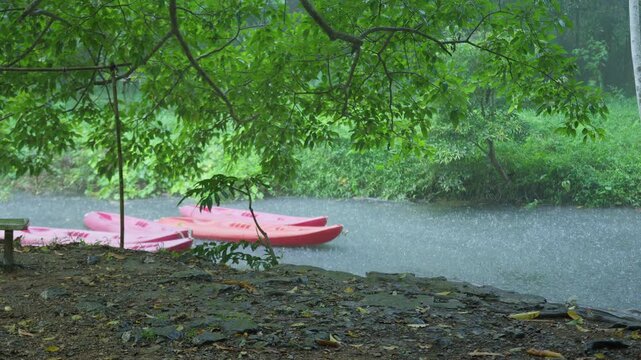 Several empty pink kayaks moored on a jungle river during a heavy downpour, representing a postponed recreational activity amid the tranquil force of nature.