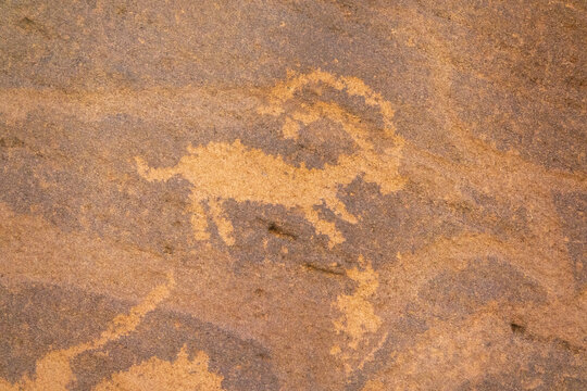 Petroglyphs on a rock depicting ibex, Najran Province, Thar, Saudi Arabia