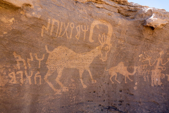 Petroglyphs on a rock depicting ibex, Najran Province, Thar, Saudi Arabia