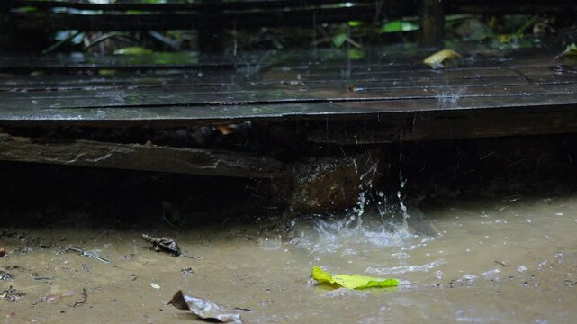 Rainwater drips from a weathered wooden deck, splashing into a muddy puddle and showing the effects of weather-related erosion and poor drainage on outdoor structures.