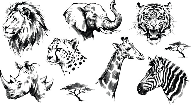 Hand Drawn African Safari Animal Vector Set Featuring Brush Ink Style Portrait Drawings of Wild Lion, Elephant, and Tiger