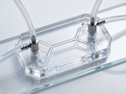 Biomedical organ on a chip microfluidic cartridge with transparent pdms perfusion channels and fluidic ports on sterile glass slide for physiological cell culture testing in biotech laboratory