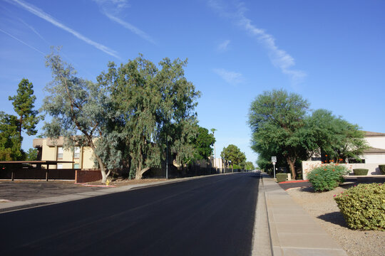 Freshly paved black asphalt street in a quiet suburban residential neighborhood under a bright blue desert sky, Phoenix, AZ