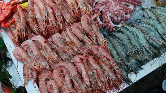 Fresh shrimp and octopus displayed on ice at seafood market stall. Raw prawns and crab arrangement at fish shop counter. Marine delicacy and healthy food concept.