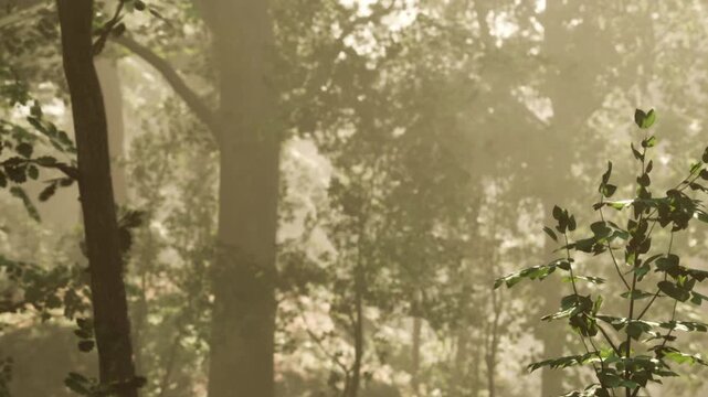 Morning light illuminates a tranquil forest scene. The air is filled with mist and the soft glow creates a peaceful atmosphere. Leaves rustle gently as nature awakens to a new day.