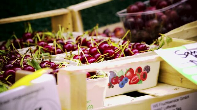 Blaubeeren, Johannisbeeren, Weintrauben und Kirschen an einem Marktstand