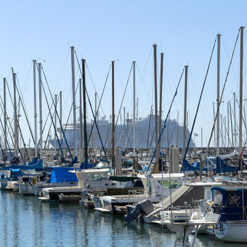 SANTA BARBARA, CA, APR 8, 2026: distant cruise ship is framed between tall sailboat masts, seen from a busy marina crowded with docked vessels