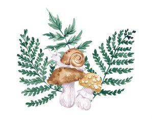 Forest plants composition hand drawn with watercolor. Isolated on white. Fern leaves, mushrooms, snail. Botanical illustration for designing card, banner, invitation, poster, logo © balena
