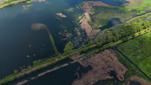 Drone footage looks across interconnected marsh channels wet ground tree lined waterways and agricultural land in the surrounding basin