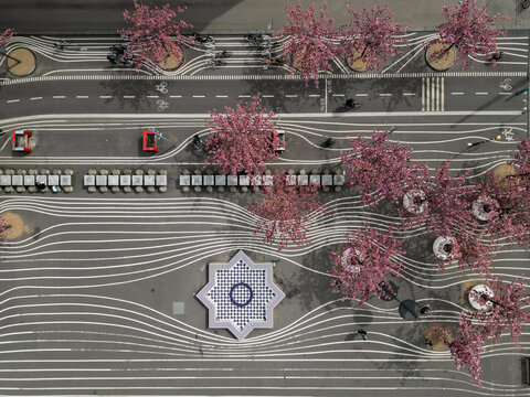 Aerial view of Superkilen Park, featuring distinctive wavy white lines on asphalt, vibrant pink cherry blossom trees, and a central star-shaped mosaic fountain in Copenhagen, Denmark.