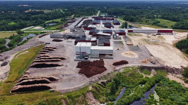 Sawmill beside forests shows timber processing and responsible sourcing of woo
