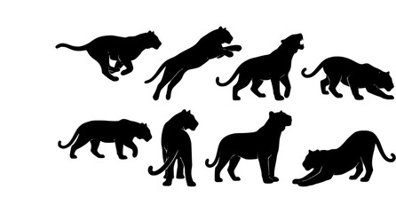 Obraz premium Dynamic Wild Tiger Black Silhouette Vector Illustration Set
