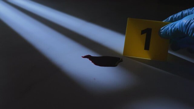 Gloved hand of forensic investigator setting down yellow evidence marker near blood stain on floor with window shadow, slow zoom in close up shot⁠