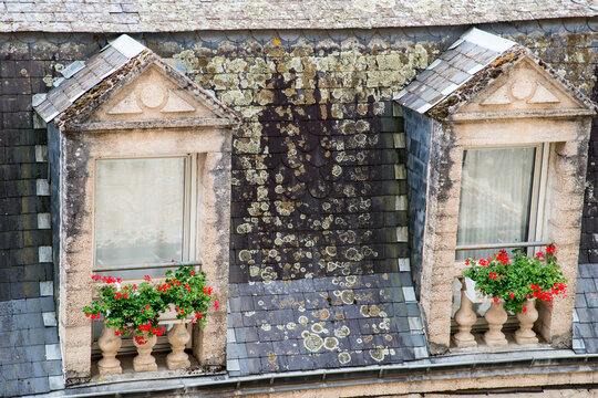 France, Lot, Rocamadour.  Detail weathered roof covered with slate tiles. 