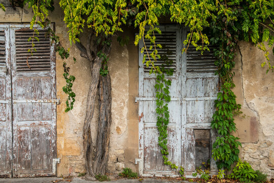 France, Lot, Bretenoux.  Architectural detail of old house fa&ccedil;ade with shuttered doors, overgrown with wisteria.