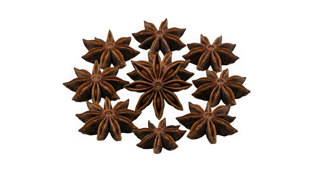 Group of dried star anise spice pods arranged in a circle isolated on transparent background