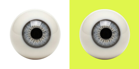 Realistic human eye globe iris pupil digital