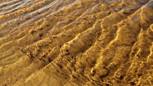 Golden water ripples in temporary rainwater lagoon, sand dunes of Florianopolis, BrazilClear fresh water of seasonal pond in coastal sand dunes at sunset, South BrazilAbstract golden textures on water