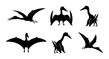 Pterodactyl Silhouettes: Flying Dinosaur Vector Icons, Prehistoric Creature Graphics, Ancient Reptile Illustrations © Kabita