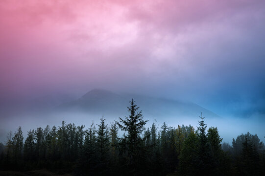 Foggy sunrise Alaska autumn landscape at Chugach National Forest in Girdwood south of Anchorage, USA