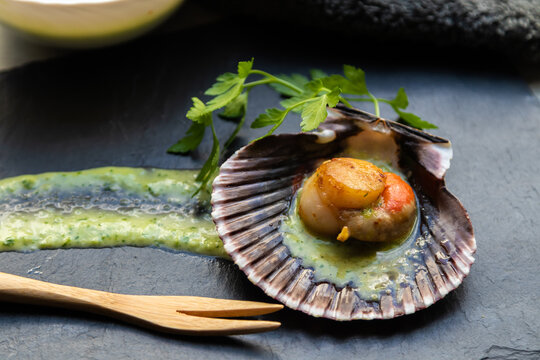 gourmet presentation of grilled scallops in green sauce