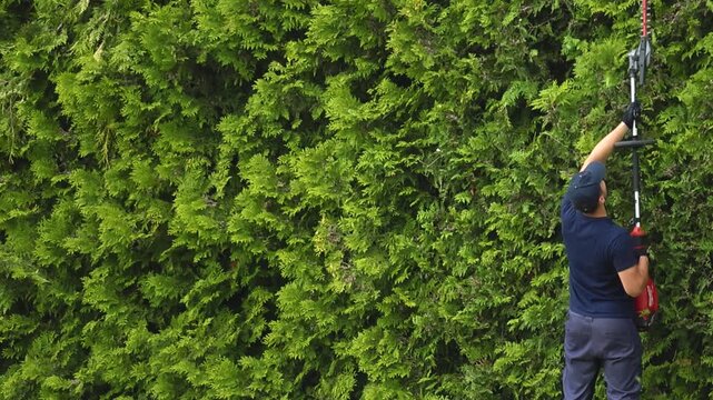 Young male landscaper cutting and shaping a tall green hedge with a long reach electric trimmer, performing seasonal maintenance and providing garden care service in a residential backyard
