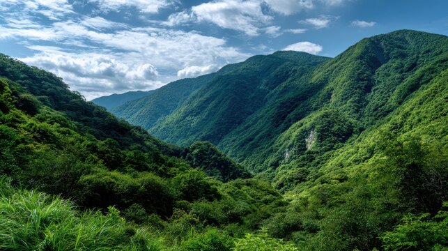 Verdant Mountain Valley with Dramatic Sky and Lush Greenery Under Sunlight