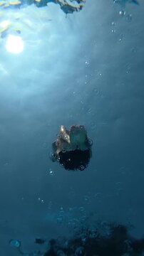 Underwater view of a man jumping into a swimming pool toward the camera, creating a dramatic splash and bubbles, captured in super slow motion at 240 fps.