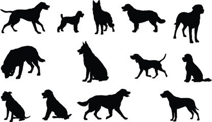 Fototapeta premium Collection of Diverse Dog Silhouettes in Different Standing and Sitting Poses Isolated on White Background