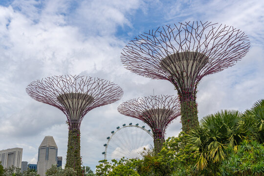 Singapore-February 27, 2026: The iconic Gardens by the Bay urban botanical park featuring artificial supertree ecosystems.