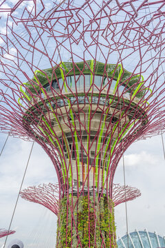 Singapore-February 27, 2026: The iconic Gardens by the Bay urban botanical park featuring artificial supertree ecosystems.