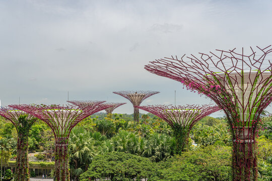 Singapore-February 27, 2026: The iconic Gardens by the Bay urban botanical park featuring artificial supertree ecosystems.