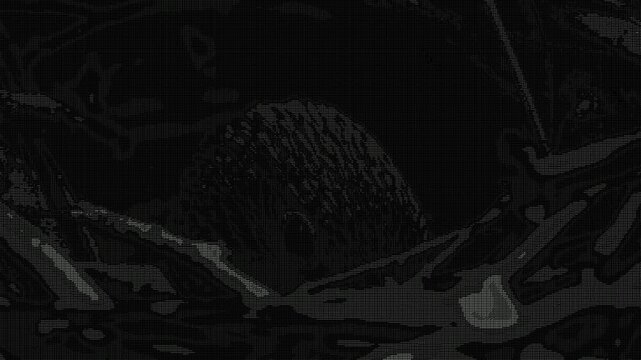 ASCII art nesting parrot