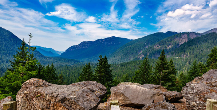 Washington Mountain Landscape