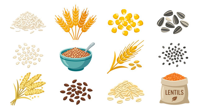 Collection of various cereals grains and seeds icons set.
