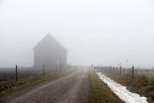 A quiet rural landscape shrouded in dense fog, with a weathered wooden house standing beside a gravel road