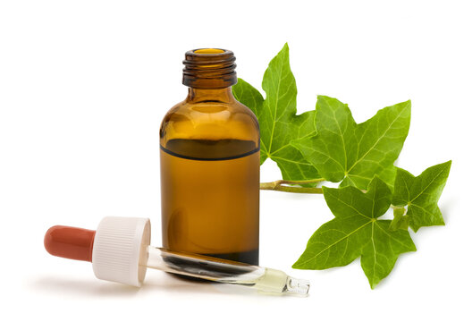 Ivy Branch with Dropper and Glass Bottle Isolated on White Background