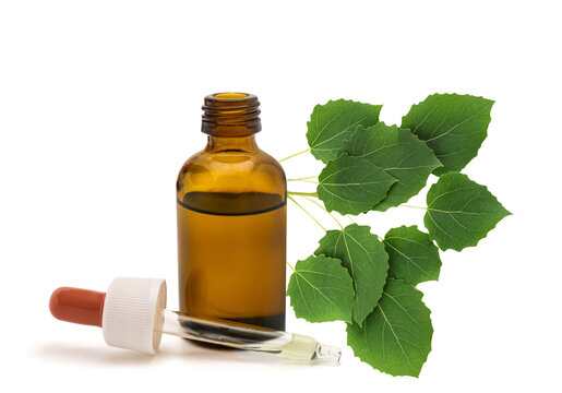 Aspen Bach Flower Remedy with Aspen Twig, Dropper and Bottle Isolated on White