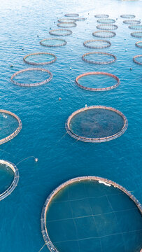 Fish farming aquaculture operation in Ionia Nisia, Greece